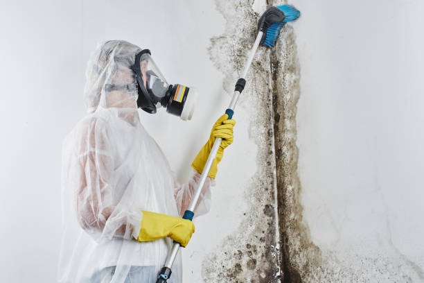Best Mold Testing  in Peachtree Corners, GA
