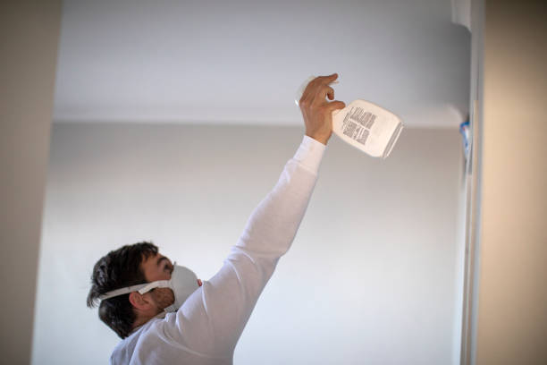 Best Affordable Mold Removal  in Peachtree Corners, GA