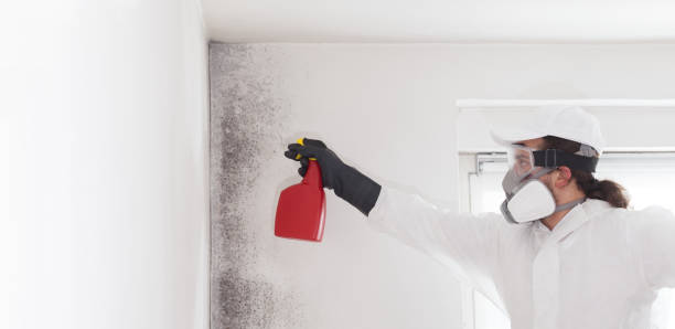 Best Residential Mold Removal  in Peachtree Corners, GA