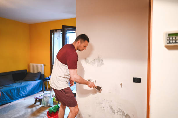 Best Black Mold Removal  in Peachtree Corners, GA